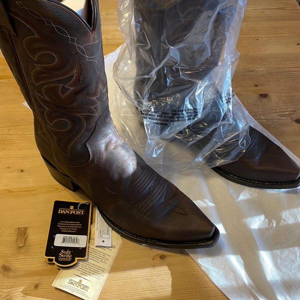 Dan post men’s 12D renegade boot